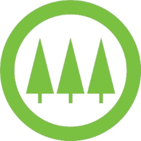 Pine technical - website